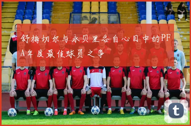 舒梅切尔与永贝里各自心目中的PFA年度最佳球员之争