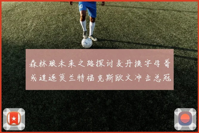 森林狼未来之路探讨麦丹换字母哥或追逐莫兰特福克斯欧文冲击总冠军